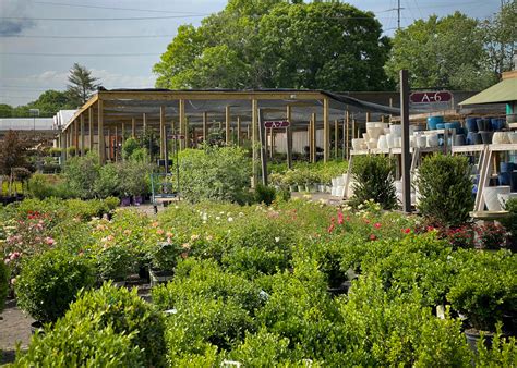Bates nursery nashville - Bates Nursery and Garden Center Nashville offers the landscape supplies you need. A wide selection of fertilizers, herbicides, and pesticides are available. (615) 876-1014. 
